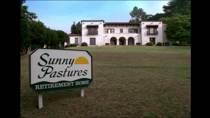 Мексиканская зырящая лягушка с южной Шри-Ланки Скриншот 1